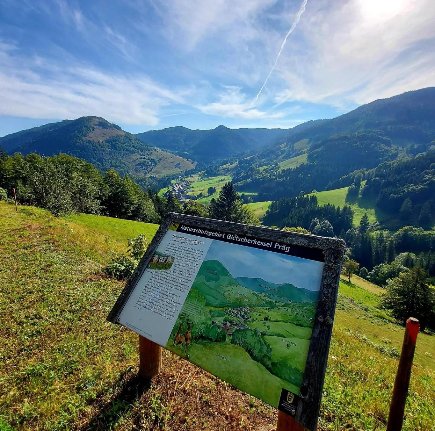 Ferienwohnungen Haus Hees Todtnau Kültér fotó