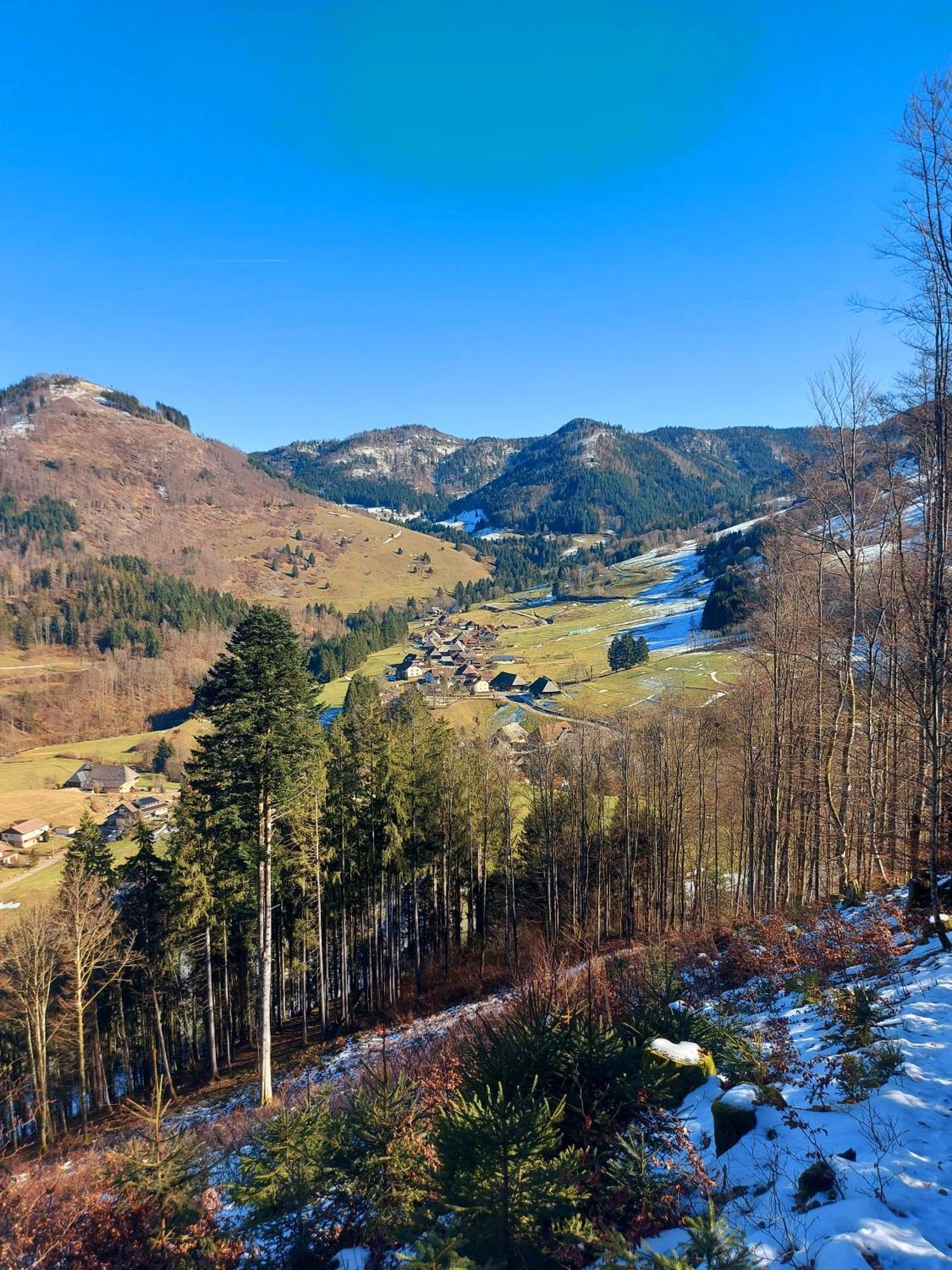 Ferienwohnungen Haus Hees Todtnau Kültér fotó