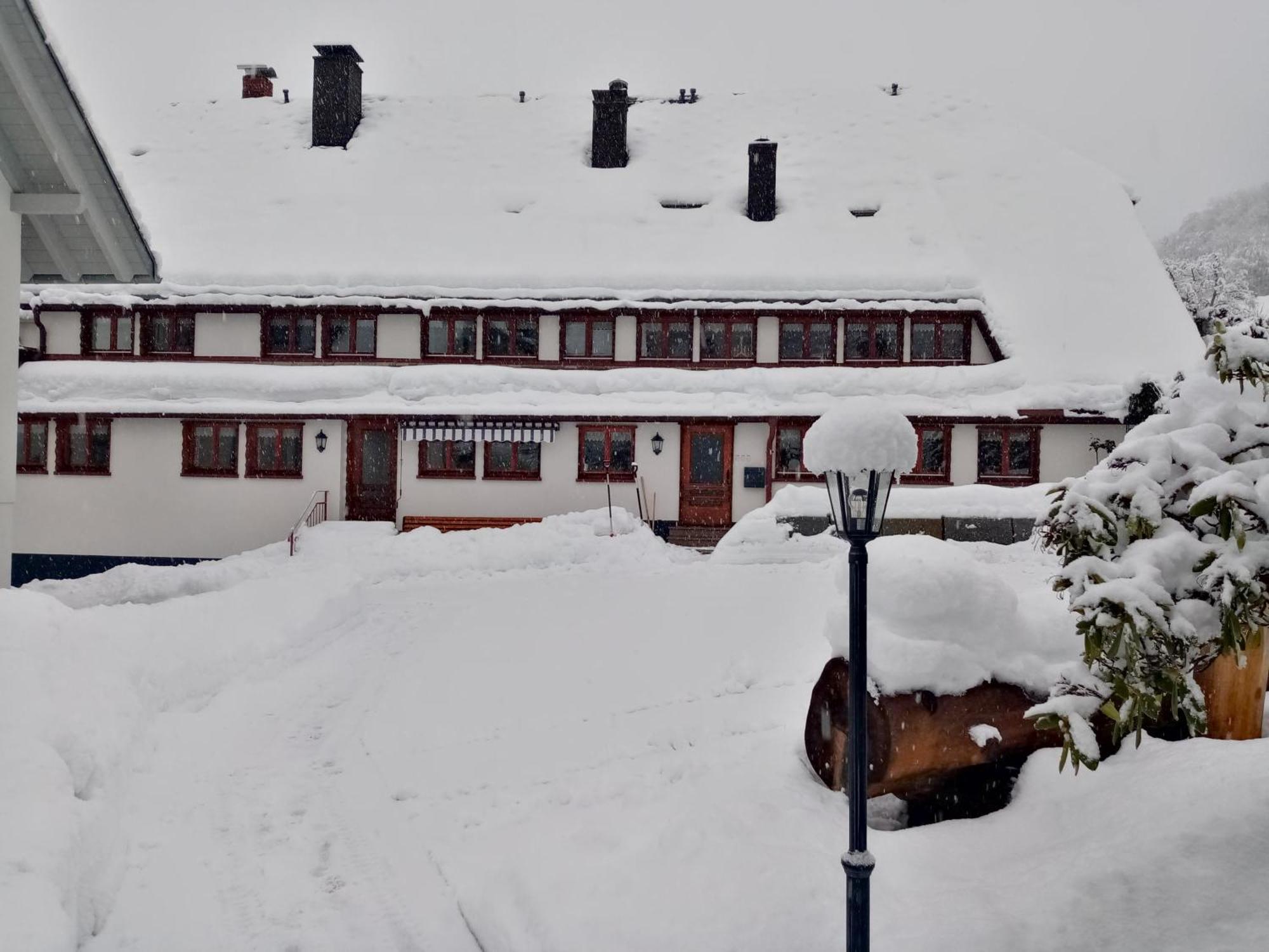 Ferienwohnungen Haus Hees Todtnau Kültér fotó