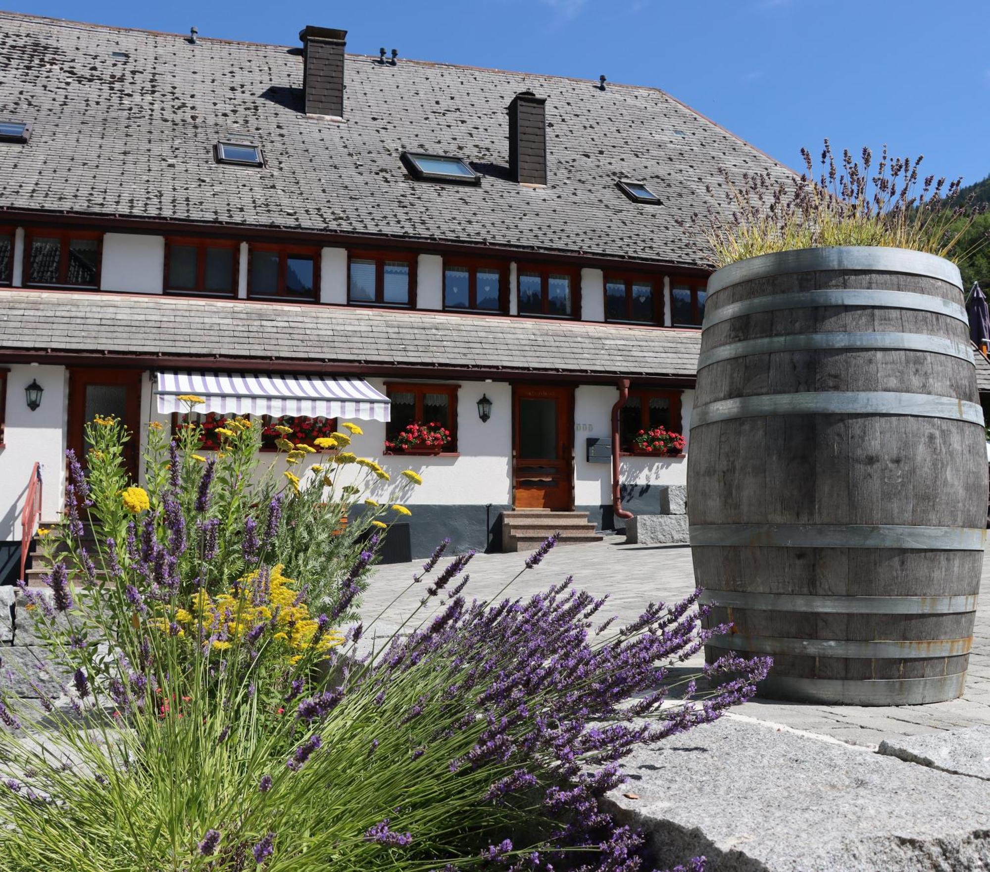 Ferienwohnungen Haus Hees Todtnau Kültér fotó