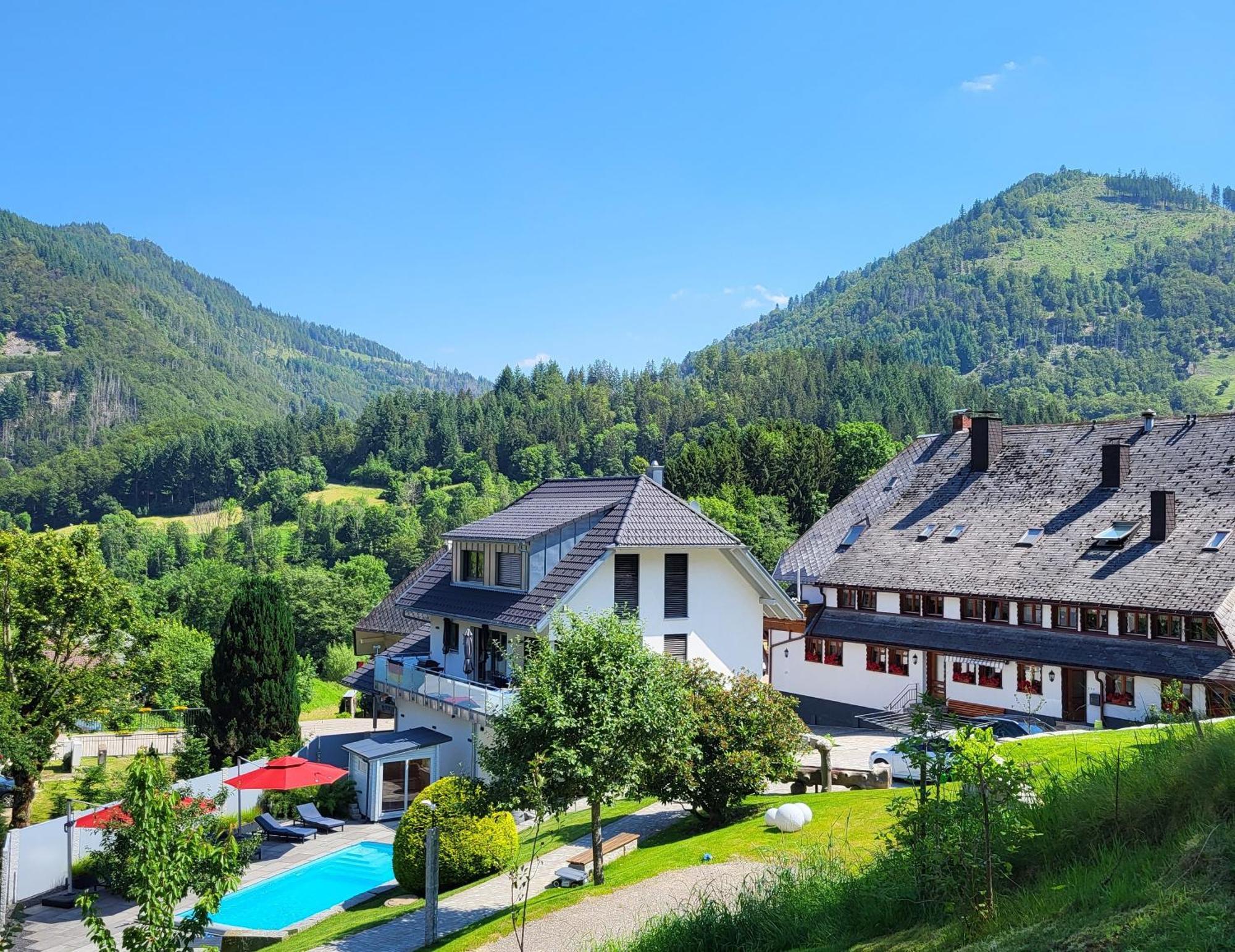 Ferienwohnungen Haus Hees Todtnau Kültér fotó
